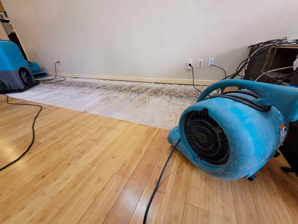 Professional Water Extraction technician working in Kirkwood, CA
